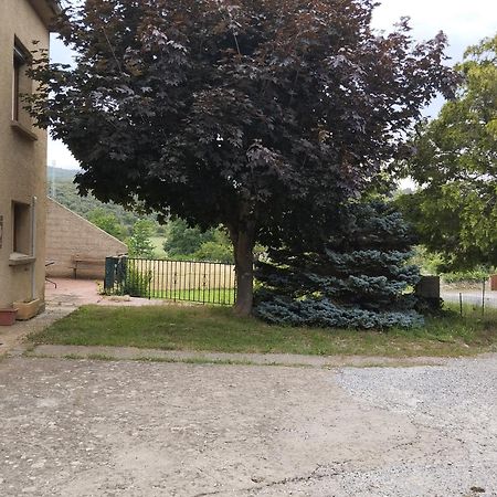 Maison Du Verdouble Rouffiac-des-Corbières Buitenkant foto
