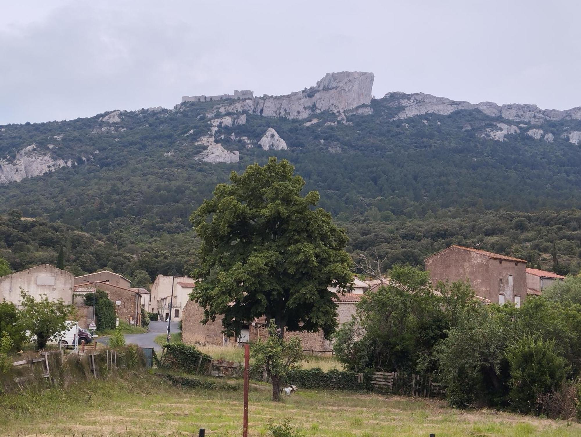 Maison Du Verdouble Rouffiac-des-Corbières Buitenkant foto